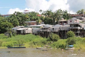 Houses on the River Side of the lake of Tefe.